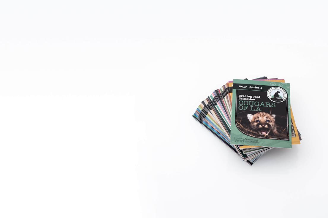 custom trading cards sports, baseball cards, pet cards, & more primoprint custom trading cards sports,